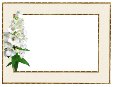 Flower penstemon greeting card