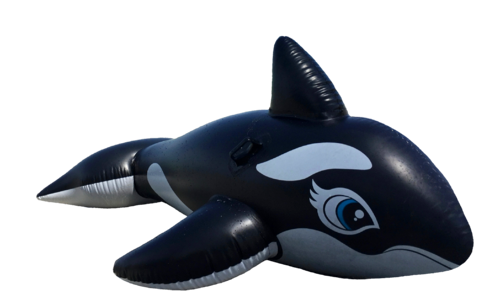 Marine mammals float toys