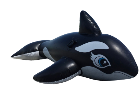 Marine mammals float toys
