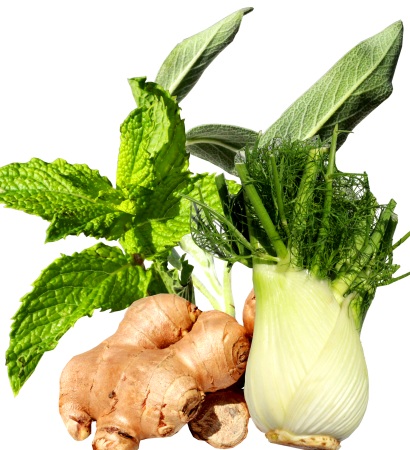 Ginger fennel sage