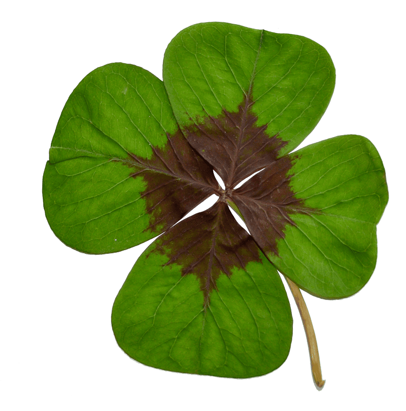 Green nature transparent background