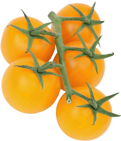 Yellow food healthy