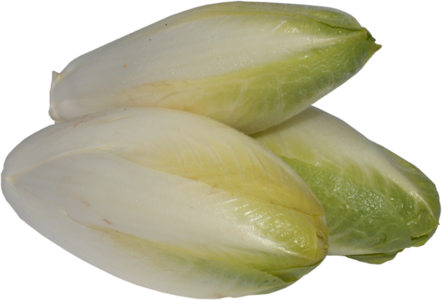 Vegetables cabbage lettuce