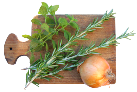 Rosemary onion transparent background