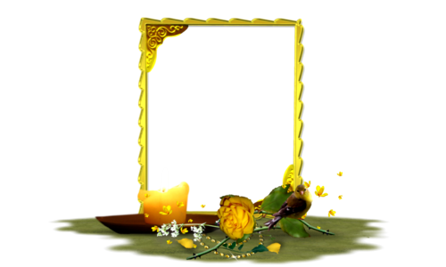 Yellow flower picture frame