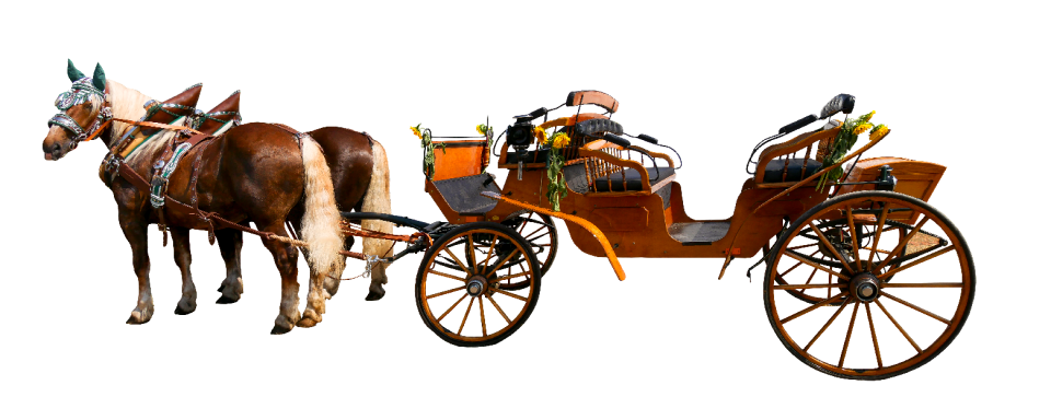 Travel horse horse drawn carriage
