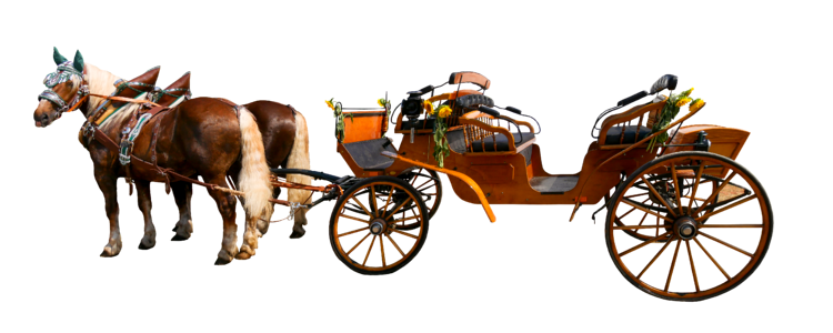 Travel horse horse drawn carriage