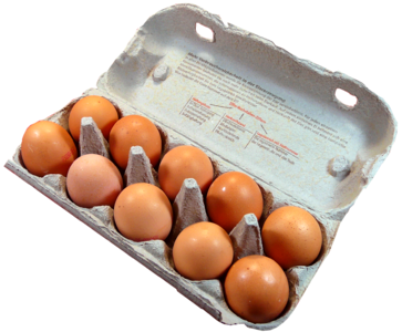 Egg box egg carton chicken eggs