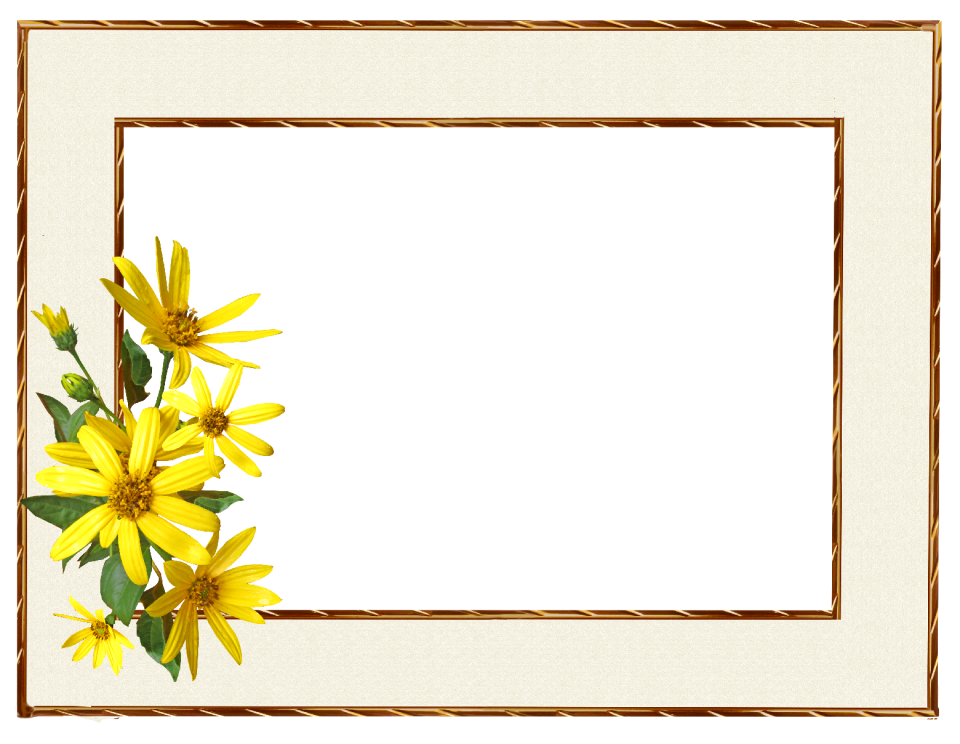 Yellow flower cut out isolated