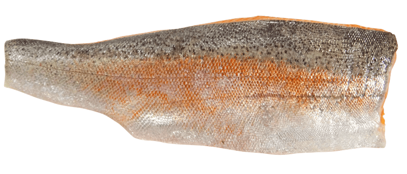 Fillet fish food