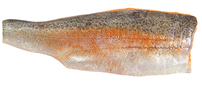 Fillet fish food