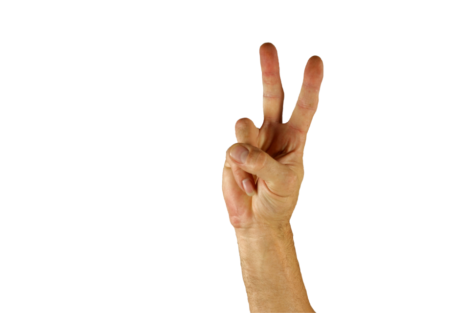 Sign language finger two