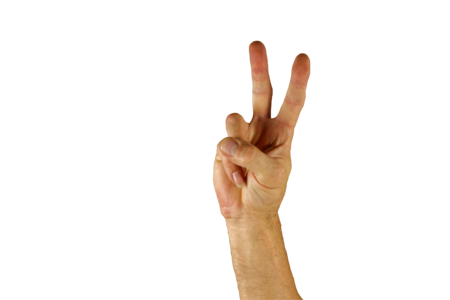 Sign language finger two