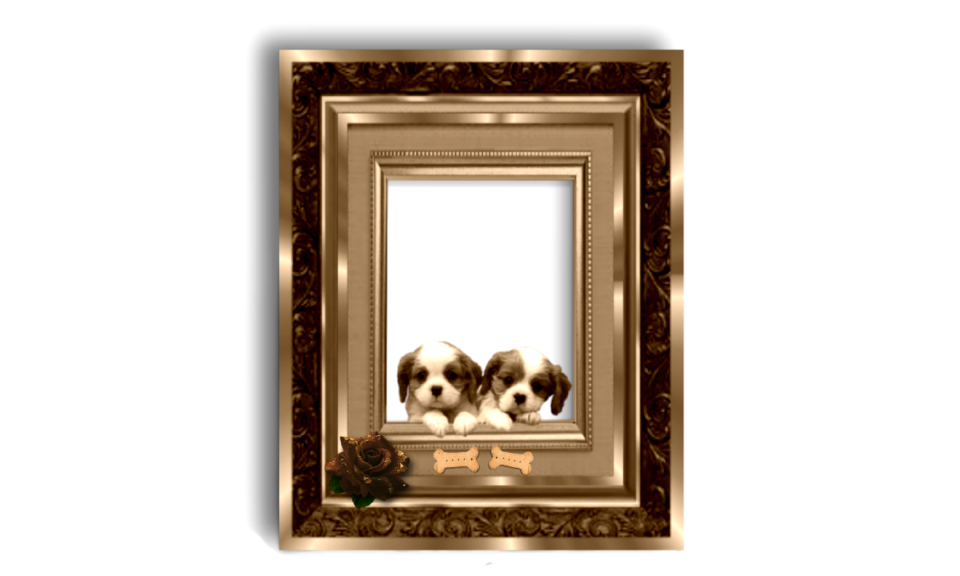 Dog puppy picture frame