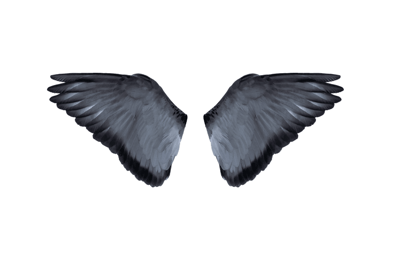 Blue ave png
