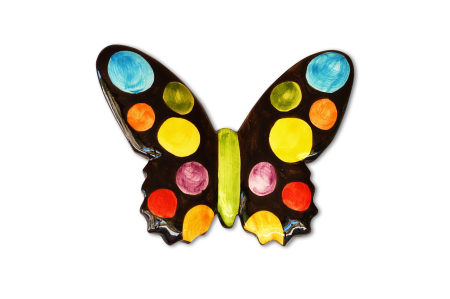 Butterfly colors colorful