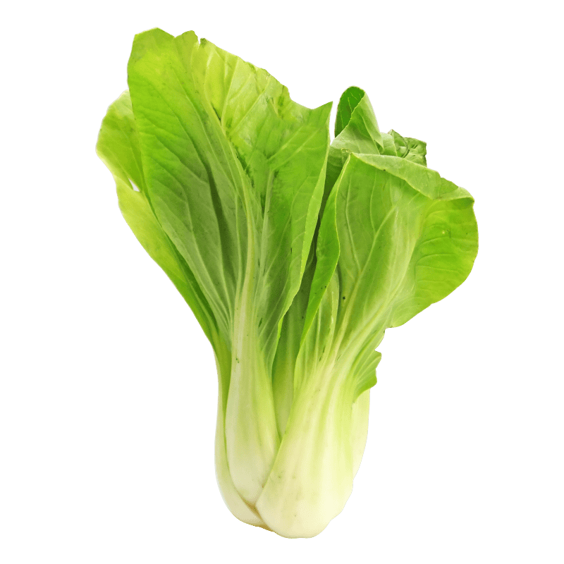 Vegetable japanese food