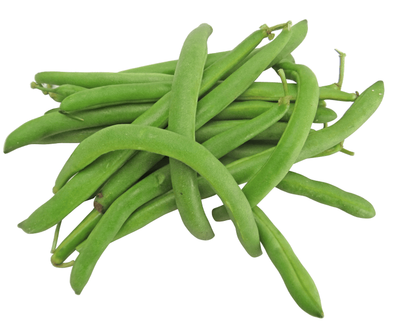 Vegetable fresh legume