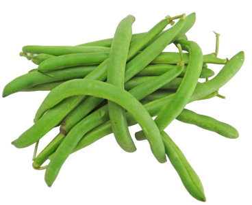 Vegetable fresh legume
