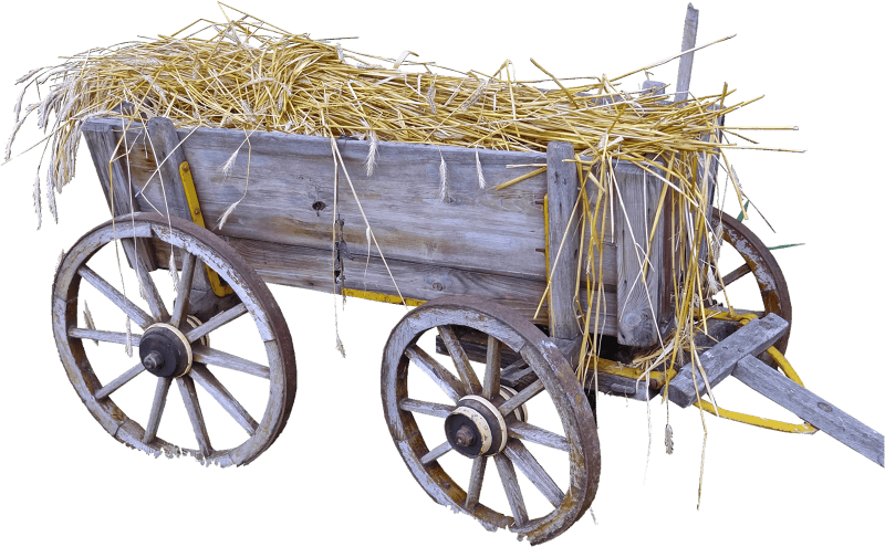 Wagon trailers transport