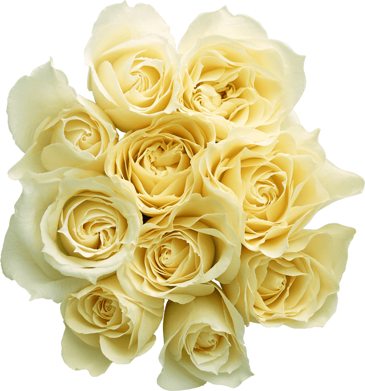 White bouquet white flower
