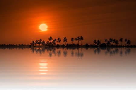 Nature tree isolated