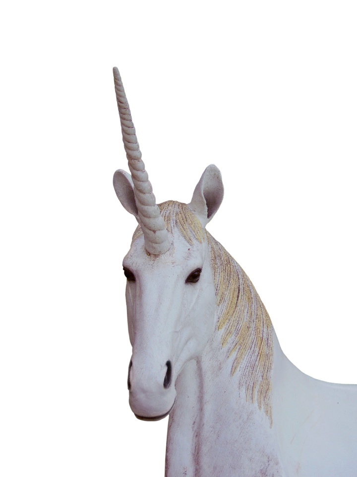 Unicorn animal magic fantasy
