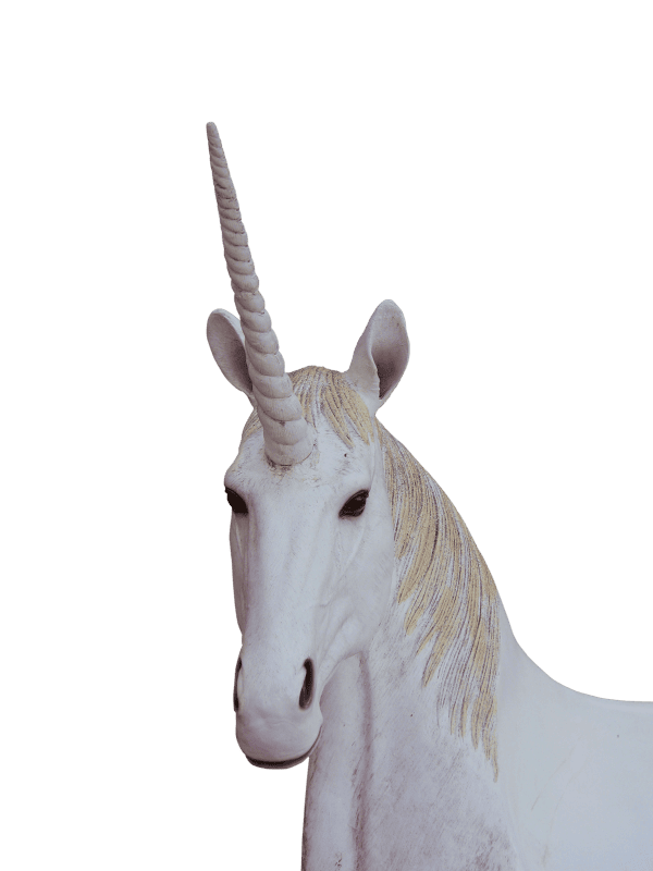 Unicorn animal magic fantasy