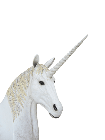 Unicorn animal magic fantasy