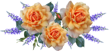 Fragrant garden nature