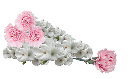 Composition bunch of flowers nature