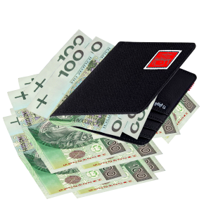 Currency pay polish