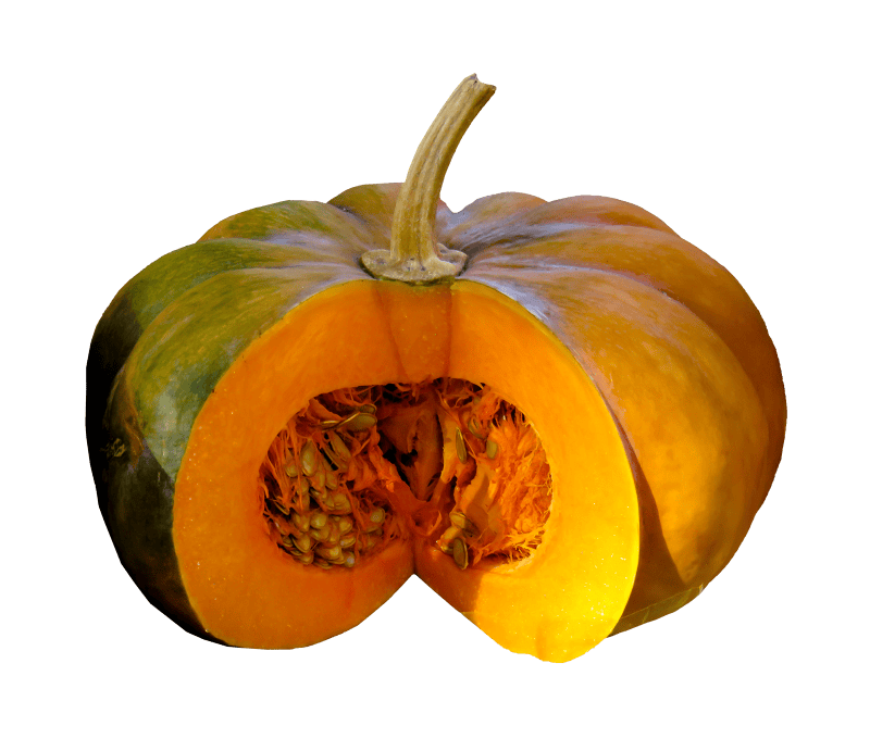 Pumpkin seeds crop summer