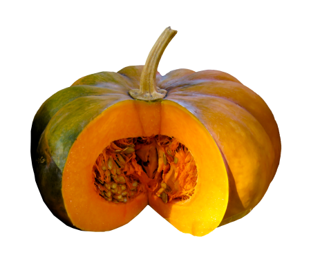 Pumpkin seeds crop summer