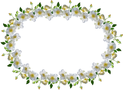 Border white rose floral