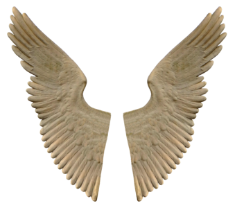 Sculpture angel angel wings