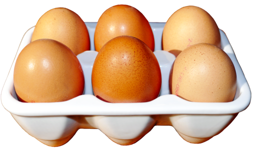 Hen's egg brown egg eggshell