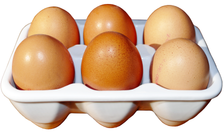 Hen's egg brown egg eggshell