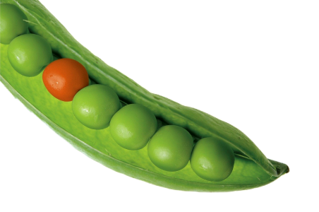 Green food pod