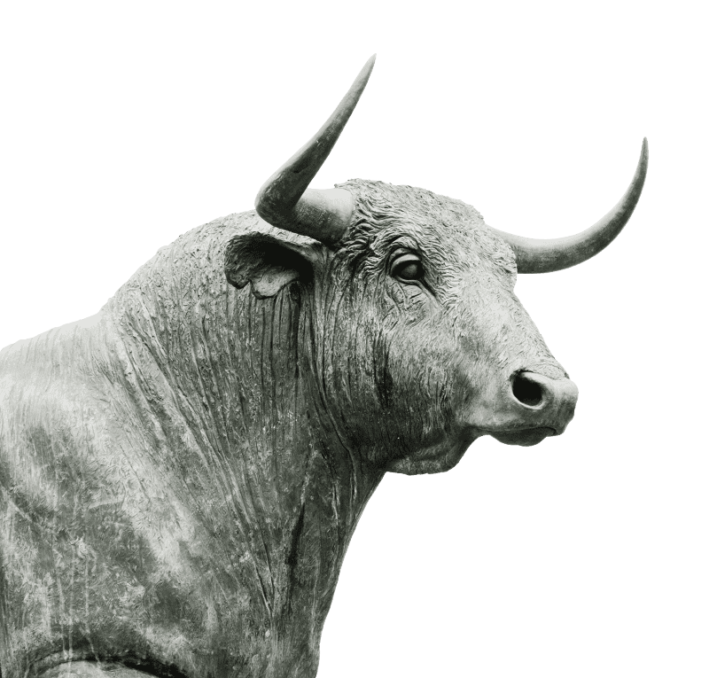 Ruminant agriculture cattle