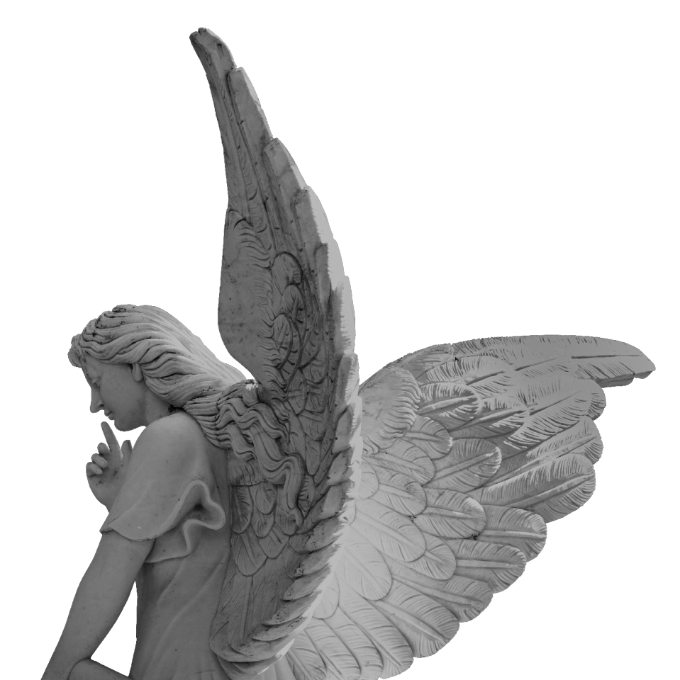 Love guardian angel female