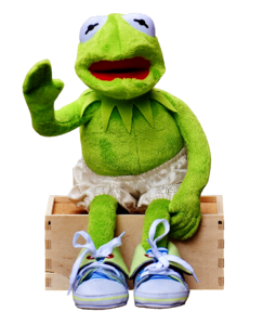 Sneakers pants frog