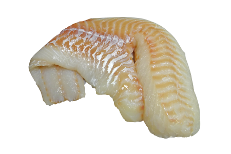 Seafood fish fresh