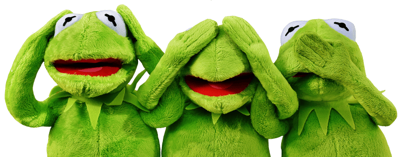 Funny kermit frog