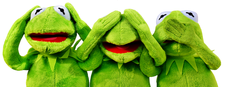 Funny kermit frog