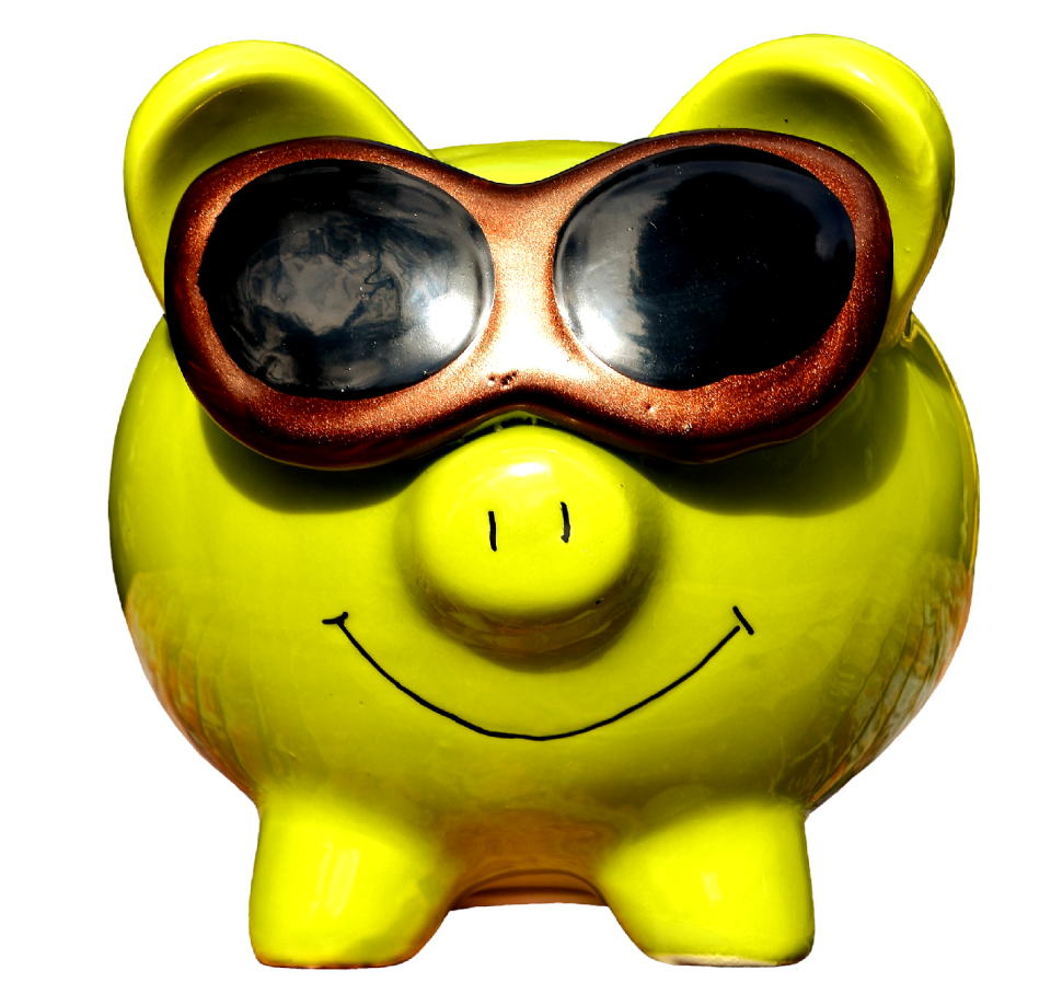 Piggy bank funny save