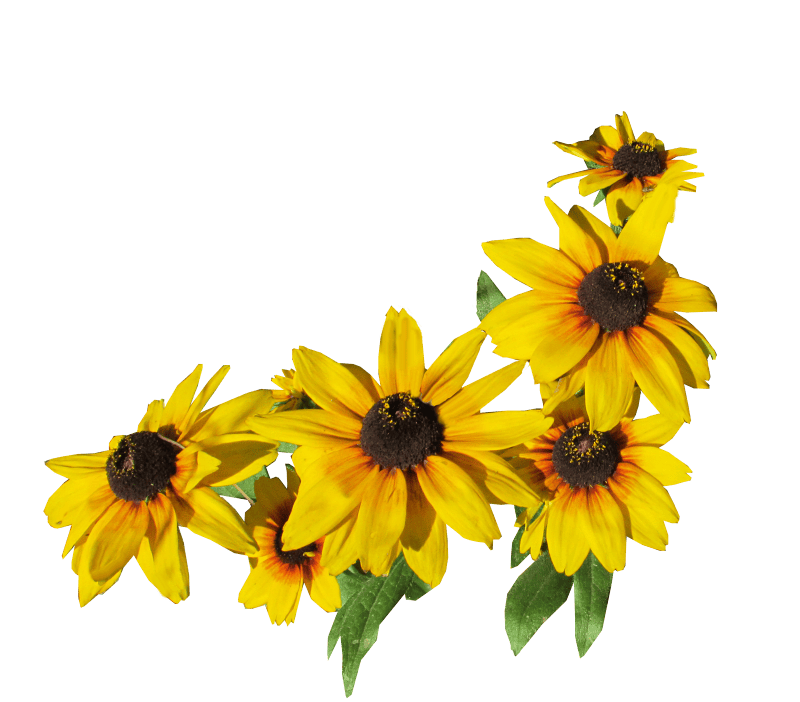 Garden nature cut out