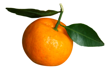 Vietnam tangerines orange
