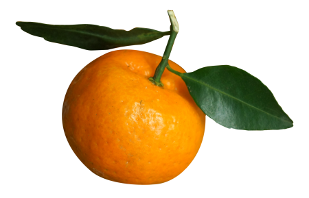 Vietnam tangerines orange