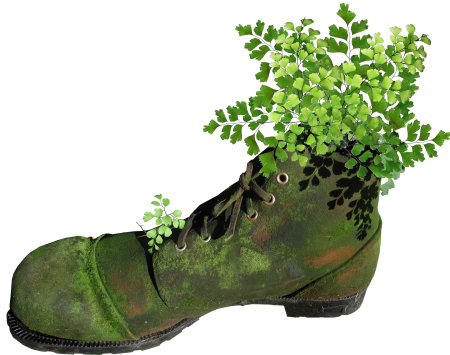 Planter fern garden
